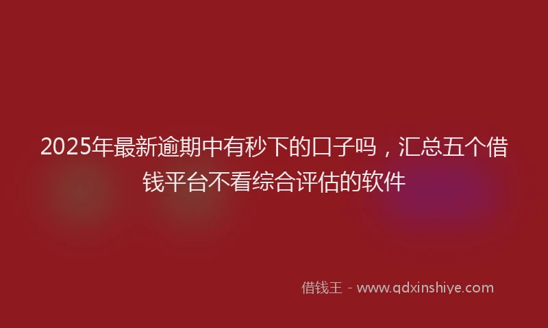 2025年最新逾期中有秒下的口子吗，汇总五个借钱平台不看综合评估的软件