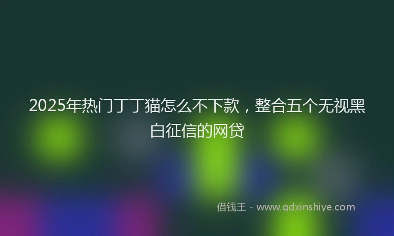 2025年热门丁丁猫怎么不下款，整合五个无视黑白征信的网贷