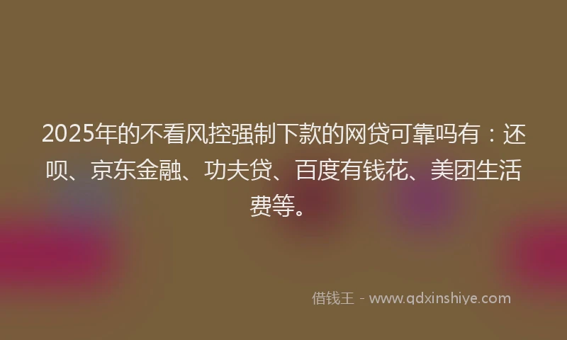 2025年的不看风控强制下款的网贷可靠吗有：还呗、京东金融、功夫贷、百度有钱花、美团生活费等。
