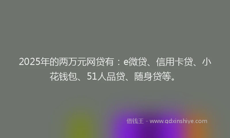 2025年的两万元网贷有：e微贷、信用卡贷、小花钱包、51人品贷、随身贷等。