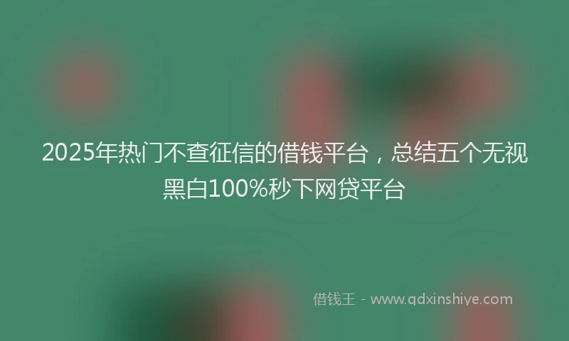 2025年热门不查征信的借钱平台，总结五个无视黑白100%秒下网贷平台