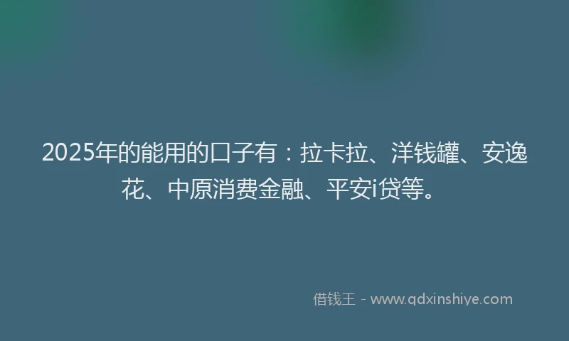2025年的能用的口子有：拉卡拉、洋钱罐、安逸花、中原消费金融、平安i贷等。
