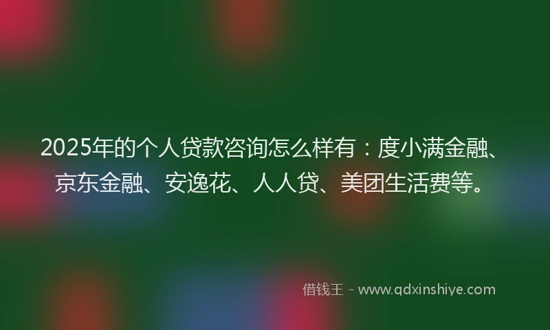 2025年的个人贷款咨询怎么样有：度小满金融、京东金融、安逸花、人人贷、美团生活费等。