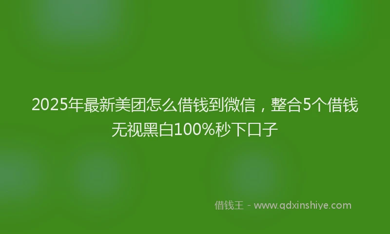 2025年最新美团怎么借钱到微信，整合5个借钱无视黑白100%秒下口子