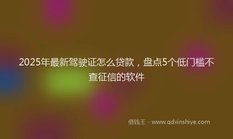 2025年最新驾驶证怎么贷款，盘点5个低门槛不查征信的软件