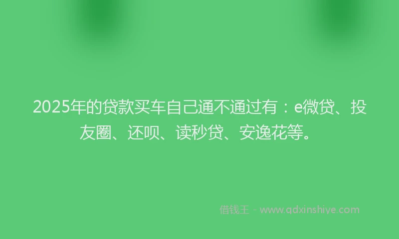 2025年的贷款买车自己通不通过有：e微贷、投友圈、还呗、读秒贷、安逸花等。