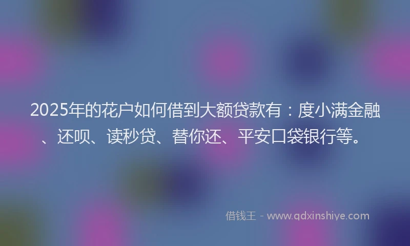 2025年的花户如何借到大额贷款有：度小满金融、还呗、读秒贷、替你还、平安口袋银行等。