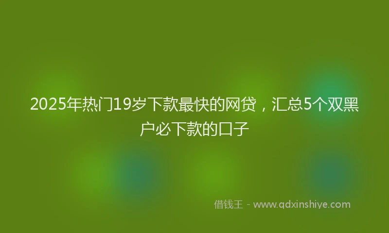 2025年热门19岁下款最快的网贷，汇总5个双黑户必下款的口子