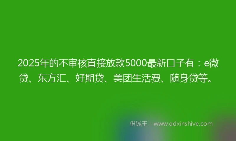 2025年的不审核直接放款5000最新口子有：e微贷、东方汇、好期贷、美团生活费、随身贷等。