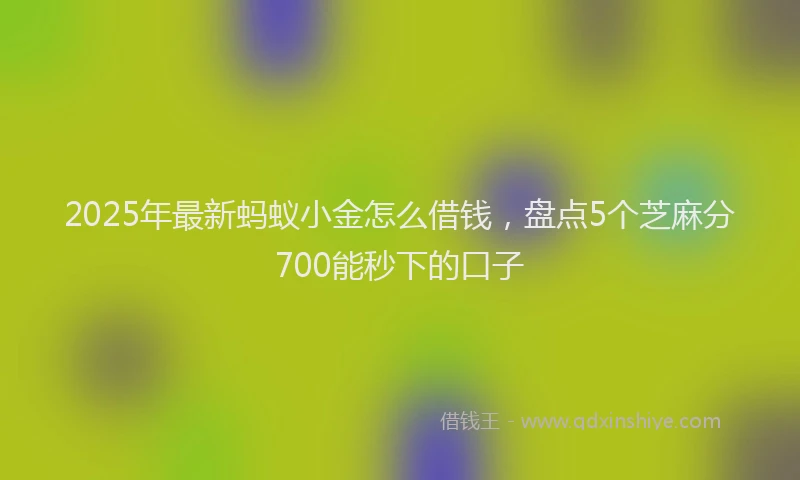 2025年最新蚂蚁小金怎么借钱，盘点5个芝麻分700能秒下的口子