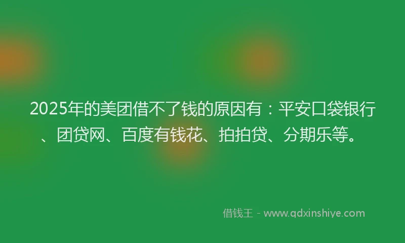 2025年的美团借不了钱的原因有：平安口袋银行、团贷网、百度有钱花、拍拍贷、分期乐等。