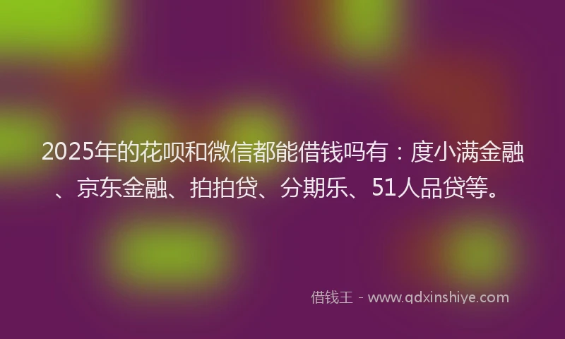 2025年的花呗和微信都能借钱吗有：度小满金融、京东金融、拍拍贷、分期乐、51人品贷等。