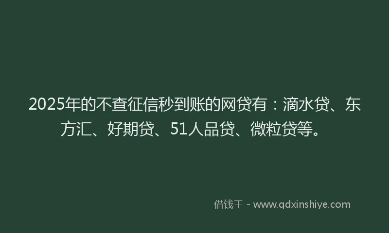 2025年的不查征信秒到账的网贷有：滴水贷、东方汇、好期贷、51人品贷、微粒贷等。