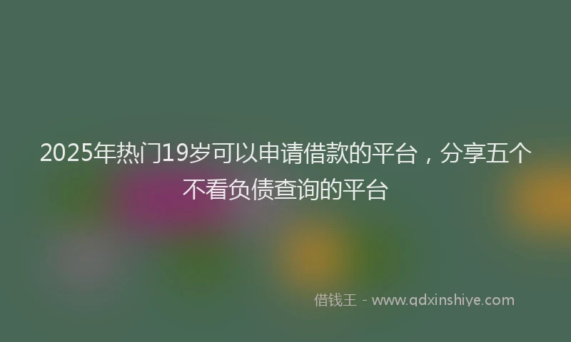2025年热门19岁可以申请借款的平台，分享五个不看负债查询的平台