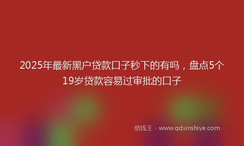 2025年最新黑户贷款口子秒下的有吗，盘点5个19岁贷款容易过审批的口子