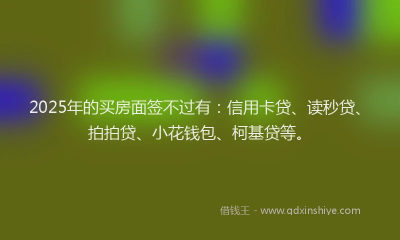 2025年的买房面签不过有：信用卡贷、读秒贷、拍拍贷、小花钱包、柯基贷等。