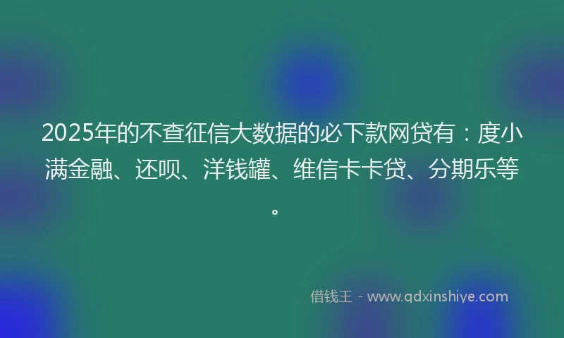 2025年的不查征信大数据的必下款网贷有：度小满金融、还呗、洋钱罐、维信卡卡贷、分期乐等。