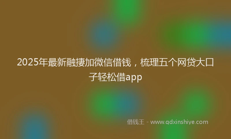 2025年最新融捿加微信借钱，梳理五个网贷大口子轻松借app