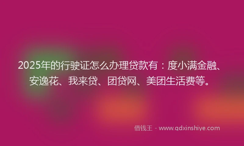 2025年的行驶证怎么办理贷款有：度小满金融、安逸花、我来贷、团贷网、美团生活费等。