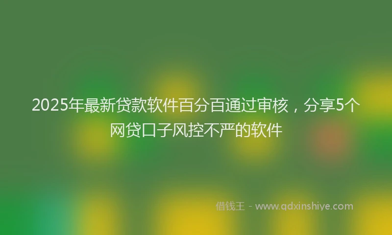 2025年最新贷款软件百分百通过审核，分享5个网贷口子风控不严的软件