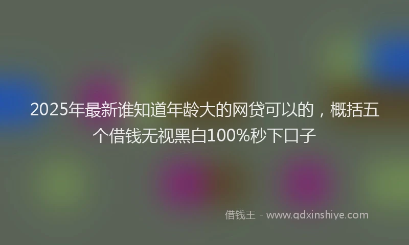 2025年最新谁知道年龄大的网贷可以的，概括五个借钱无视黑白100%秒下口子
