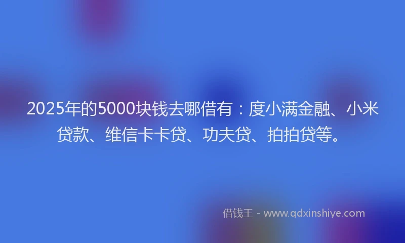 2025年的5000块钱去哪借有：度小满金融、小米贷款、维信卡卡贷、功夫贷、拍拍贷等。