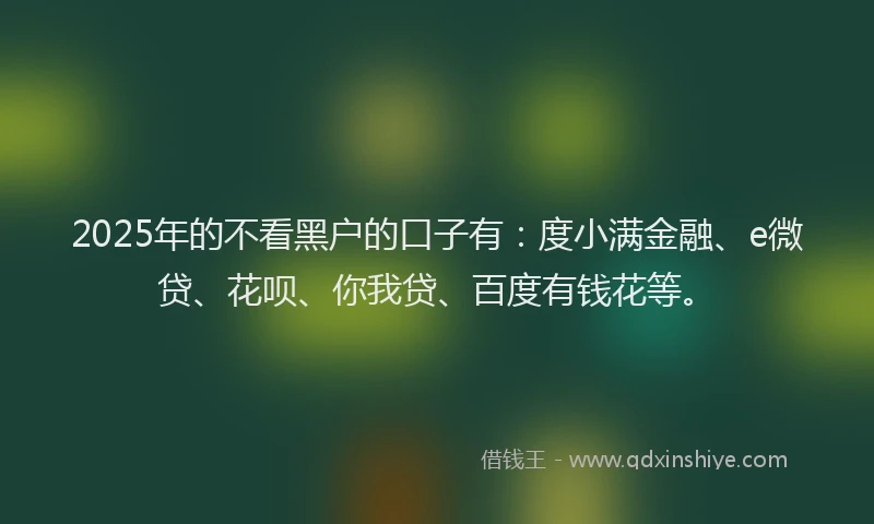 2025年的不看黑户的口子有：度小满金融、e微贷、花呗、你我贷、百度有钱花等。