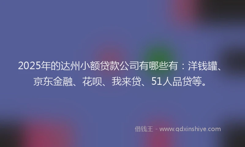 2025年的达州小额贷款公司有哪些有：洋钱罐、京东金融、花呗、我来贷、51人品贷等。
