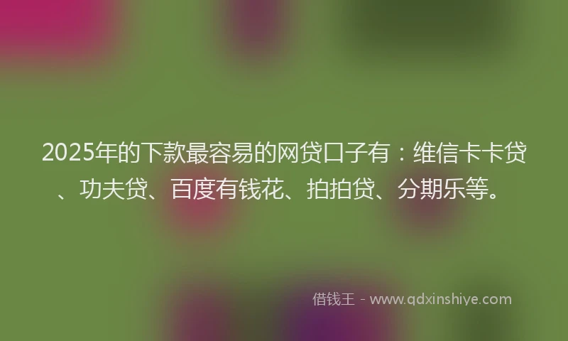 2025年的下款最容易的网贷口子有：维信卡卡贷、功夫贷、百度有钱花、拍拍贷、分期乐等。