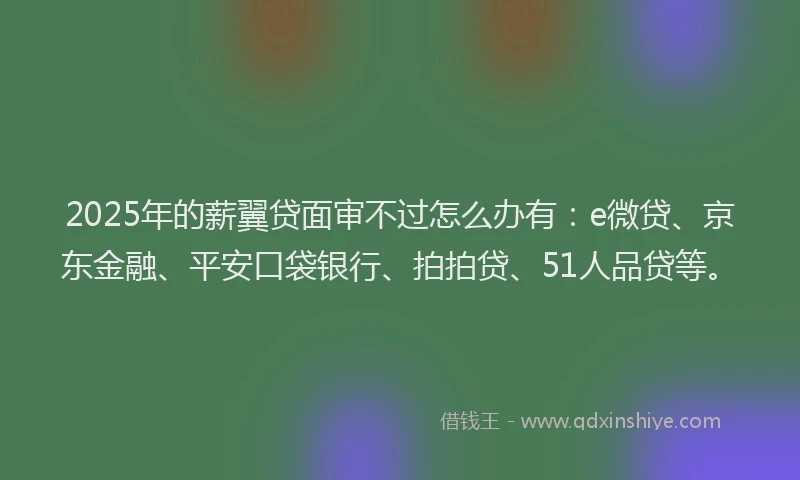 2025年的薪翼贷面审不过怎么办有：e微贷、京东金融、平安口袋银行、拍拍贷、51人品贷等。