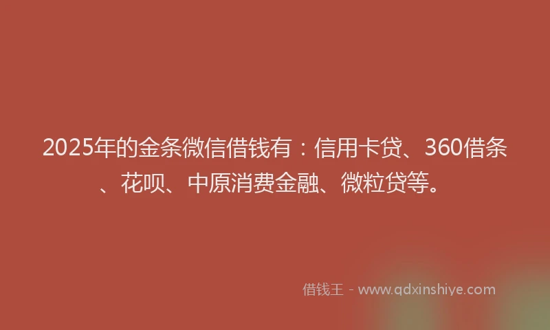 2025年的金条微信借钱有：信用卡贷、360借条、花呗、中原消费金融、微粒贷等。