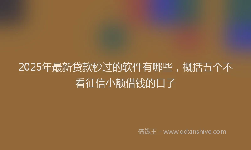 2025年最新贷款秒过的软件有哪些，概括五个不看征信小额借钱的口子