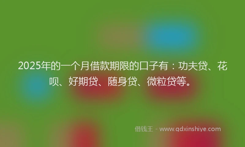 2025年的一个月借款期限的口子有：功夫贷、花呗、好期贷、随身贷、微粒贷等。