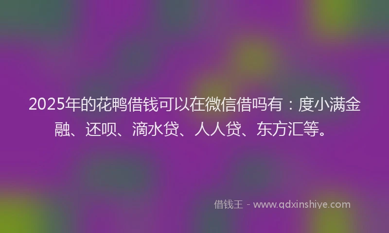 2025年的花鸭借钱可以在微信借吗有：度小满金融、还呗、滴水贷、人人贷、东方汇等。