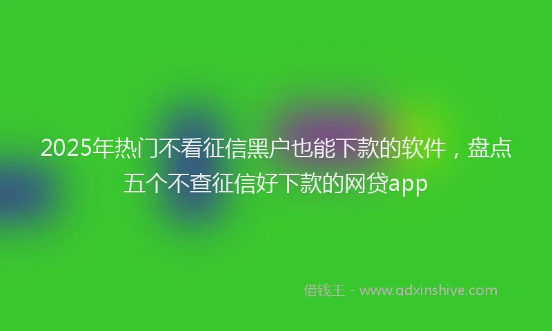 2025年热门不看征信黑户也能下款的软件，盘点五个不查征信好下款的网贷app