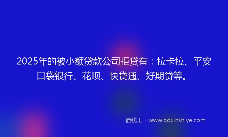 2025年的被小额贷款公司拒贷有：拉卡拉、平安口袋银行、花呗、快贷通、好期贷等。