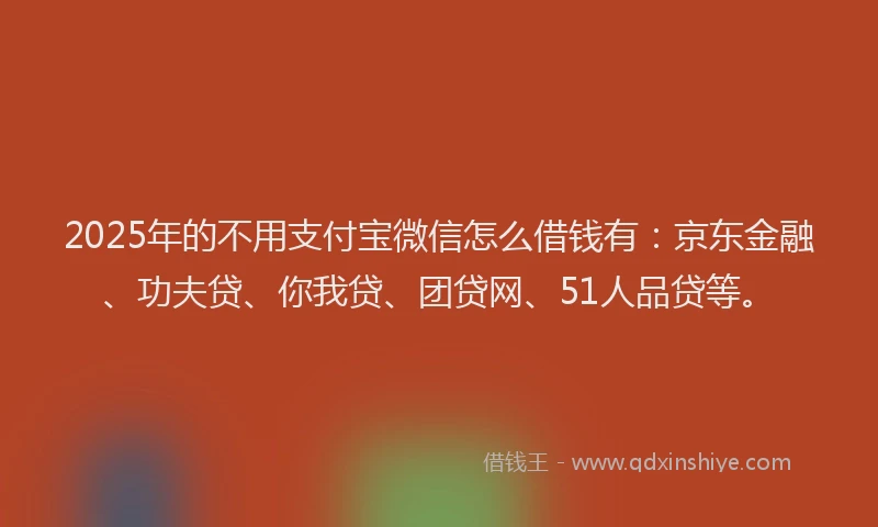 2025年的不用支付宝微信怎么借钱有：京东金融、功夫贷、你我贷、团贷网、51人品贷等。