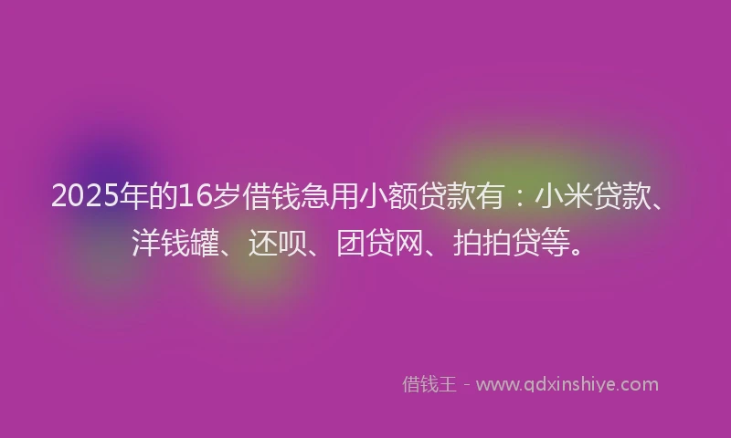 2025年的16岁借钱急用小额贷款有：小米贷款、洋钱罐、还呗、团贷网、拍拍贷等。