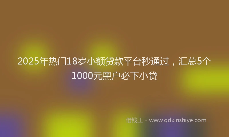 2025年热门18岁小额贷款平台秒通过，汇总5个1000元黑户必下小贷