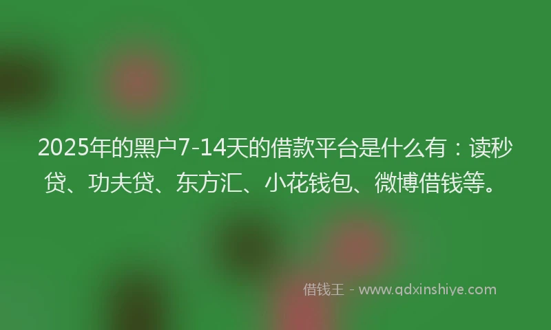 2025年的黑户7-14天的借款平台是什么有：读秒贷、功夫贷、东方汇、小花钱包、微博借钱等。