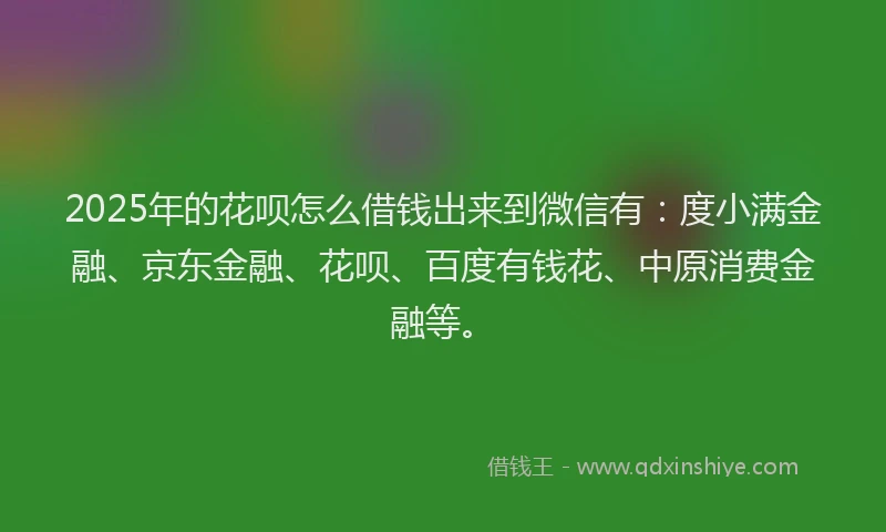 2025年的花呗怎么借钱出来到微信有：度小满金融、京东金融、花呗、百度有钱花、中原消费金融等。
