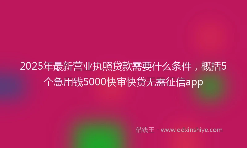 2025年最新营业执照贷款需要什么条件，概括5个急用钱5000快审快贷无需征信app