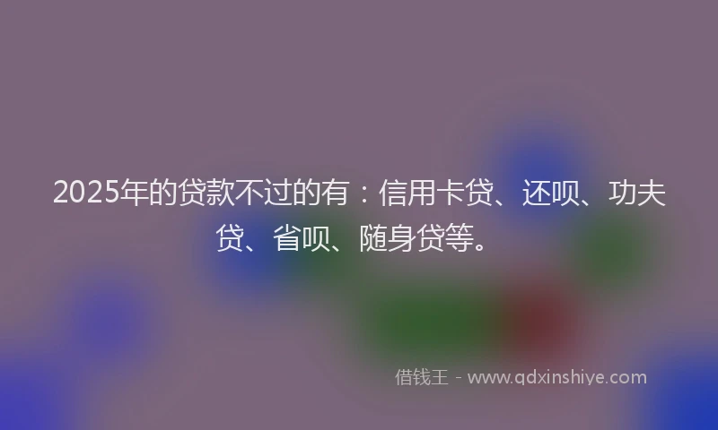 2025年的贷款不过的有：信用卡贷、还呗、功夫贷、省呗、随身贷等。