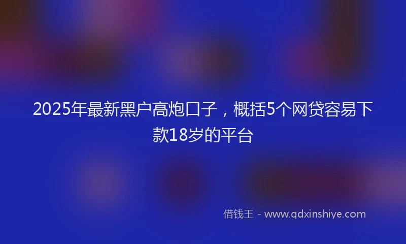 2025年最新黑户高炮口子，概括5个网贷容易下款18岁的平台
