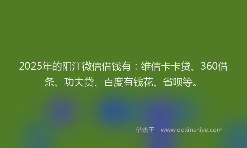 2025年的阳江微信借钱有：维信卡卡贷、360借条、功夫贷、百度有钱花、省呗等。