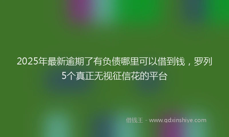 2025年最新逾期了有负债哪里可以借到钱，罗列5个真正无视征信花的平台