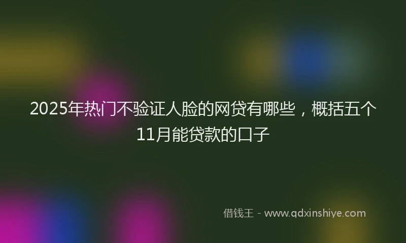 2025年热门不验证人脸的网贷有哪些，概括五个11月能贷款的口子