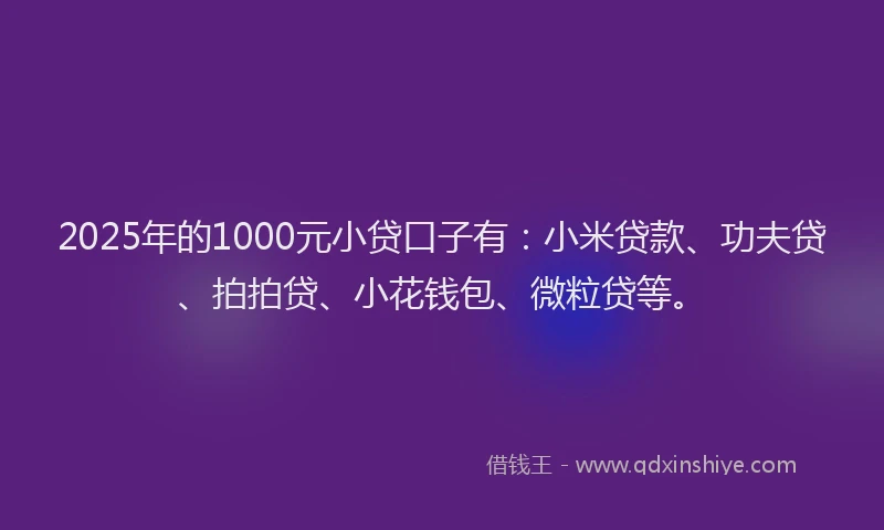 2025年的1000元小贷口子有：小米贷款、功夫贷、拍拍贷、小花钱包、微粒贷等。