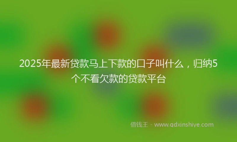 2025年最新贷款马上下款的口子叫什么，归纳5个不看欠款的贷款平台