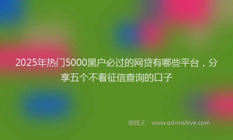 2025年热门5000黑户必过的网贷有哪些平台，分享五个不看征信查询的口子